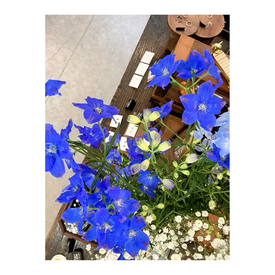 この週末は、みなと祭りでとってもわっしょいな尾道です!ご当地...